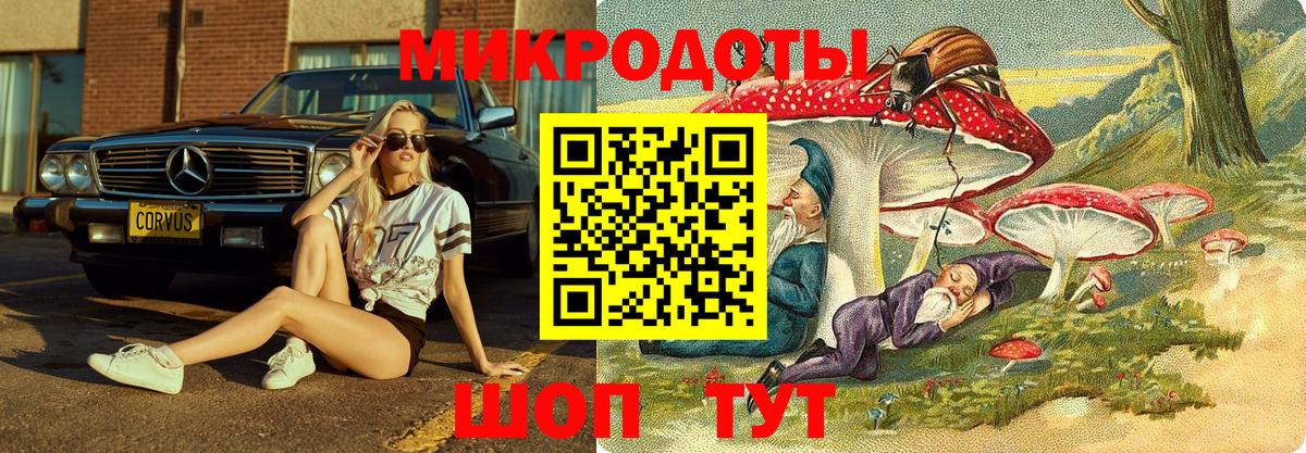Омск  Галлюциногенные грибы Psilocybine cubensis  Псилоцибиновые грибы Magic Shrooms  Вход с VPN 